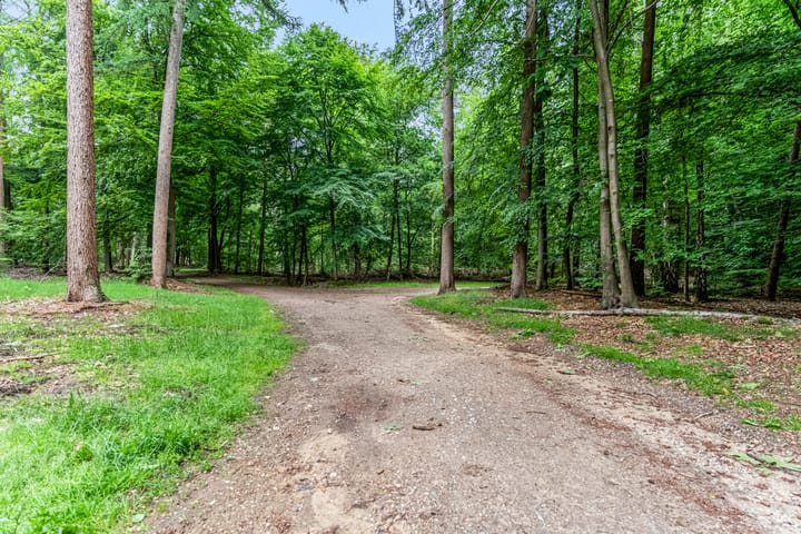 Foto 43 van Hertenlaan 44