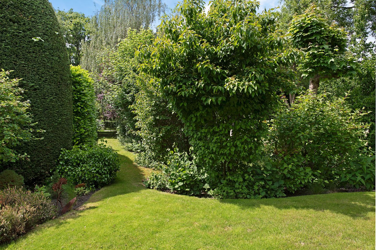 Foto 35 van Hoekweid 2