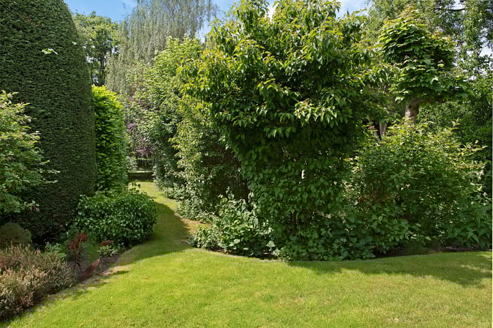 Foto 35 van Hoekweid 2