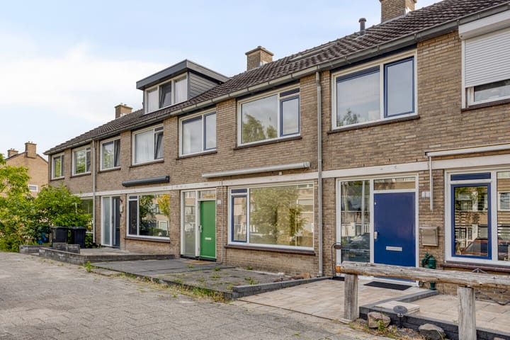 undefined main image