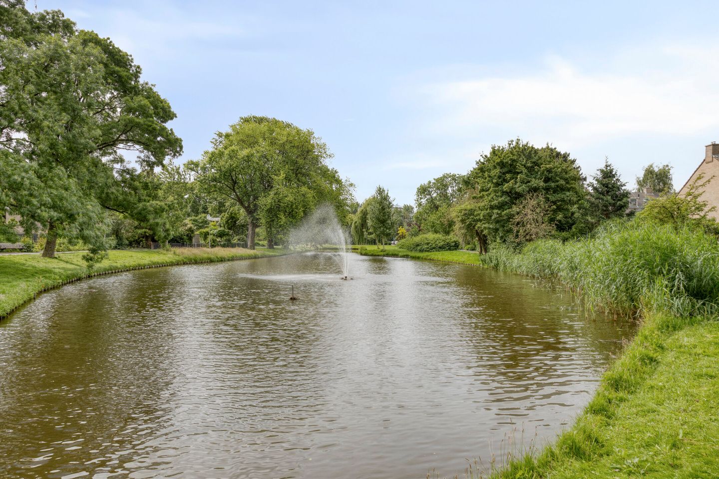 Foto 5 van Bolkruid 42