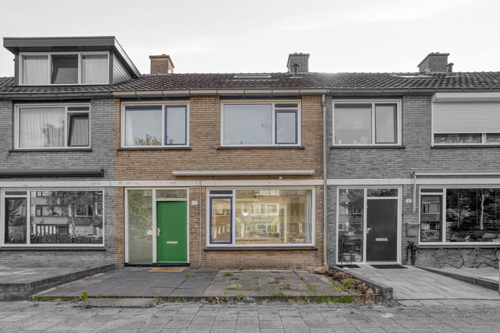 Foto 7 van Bolkruid 42