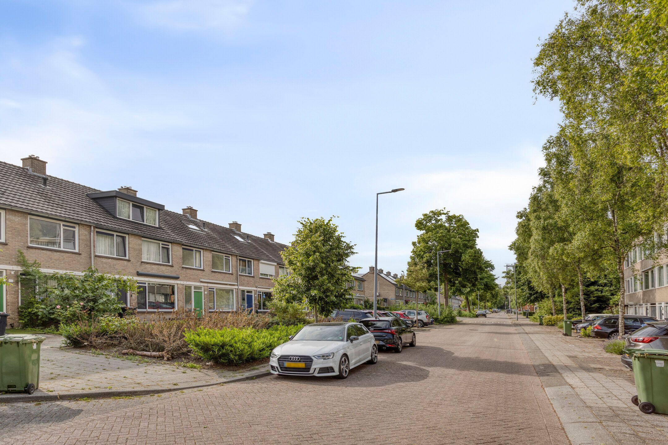 Foto 9 van Bolkruid 42