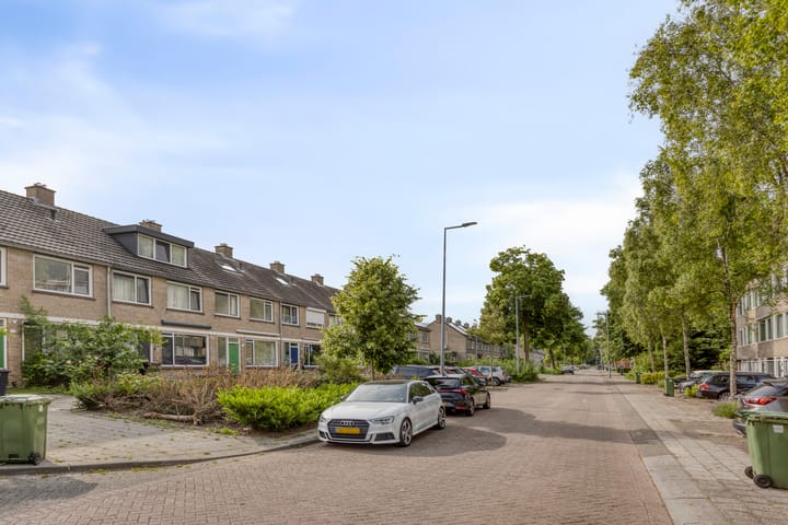 Foto 9 van Bolkruid 42