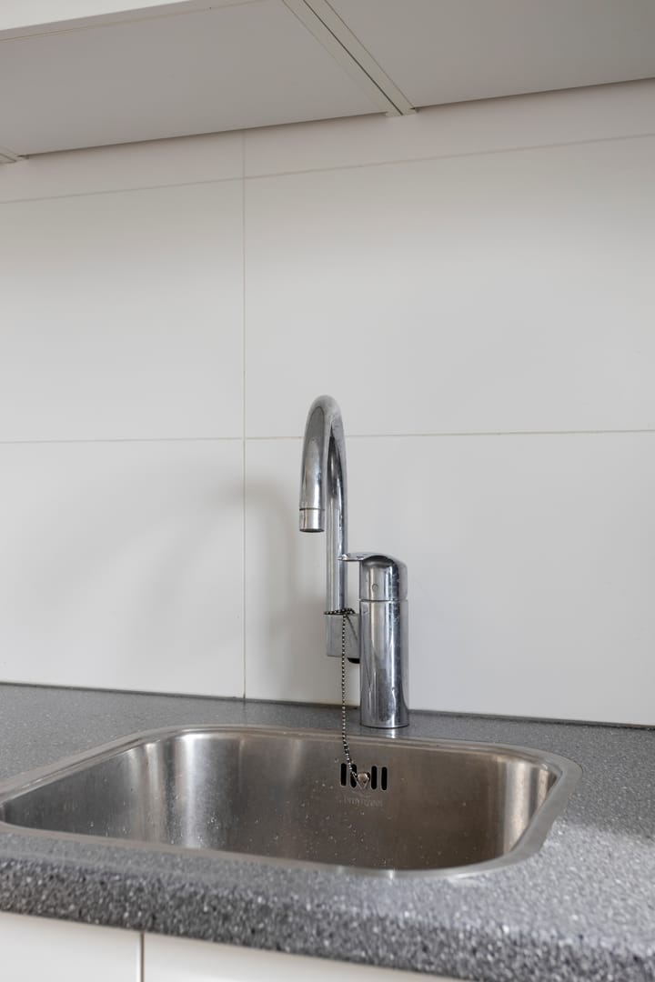 Foto 14 van Bolkruid 42