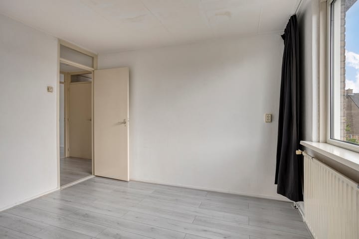 Foto 17 van Bolkruid 42