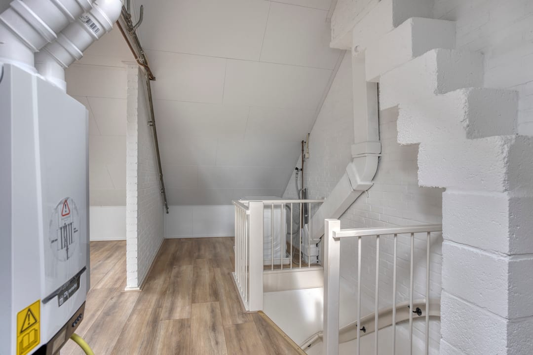 Foto 23 van Bolkruid 42