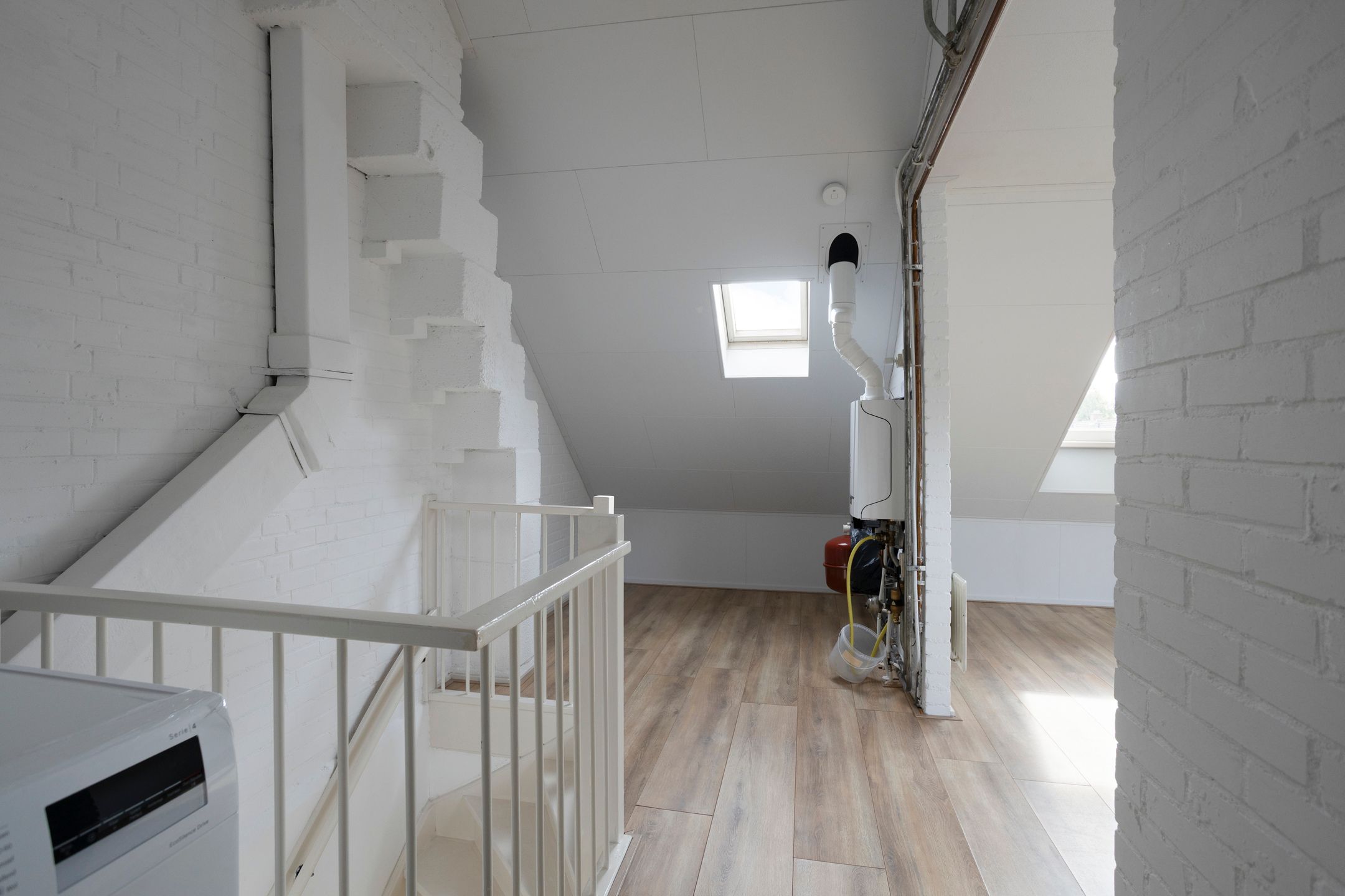 Foto 24 van Bolkruid 42