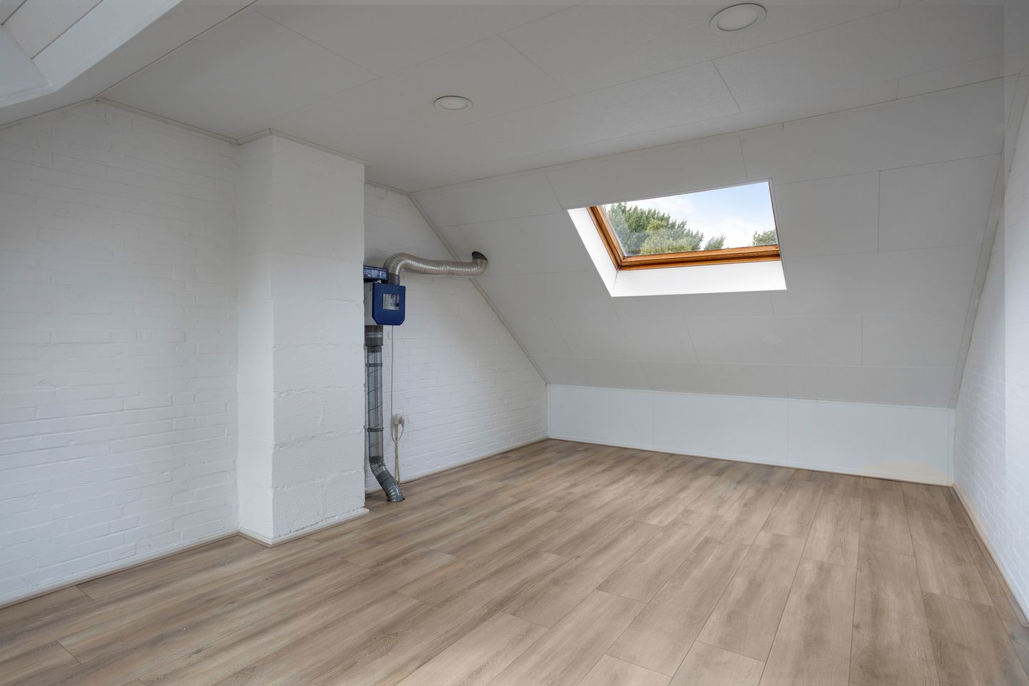 Foto 25 van Bolkruid 42