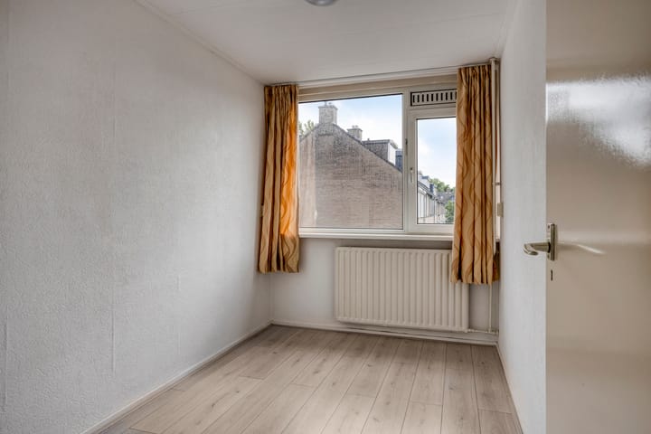 Foto 19 van Bolkruid 42