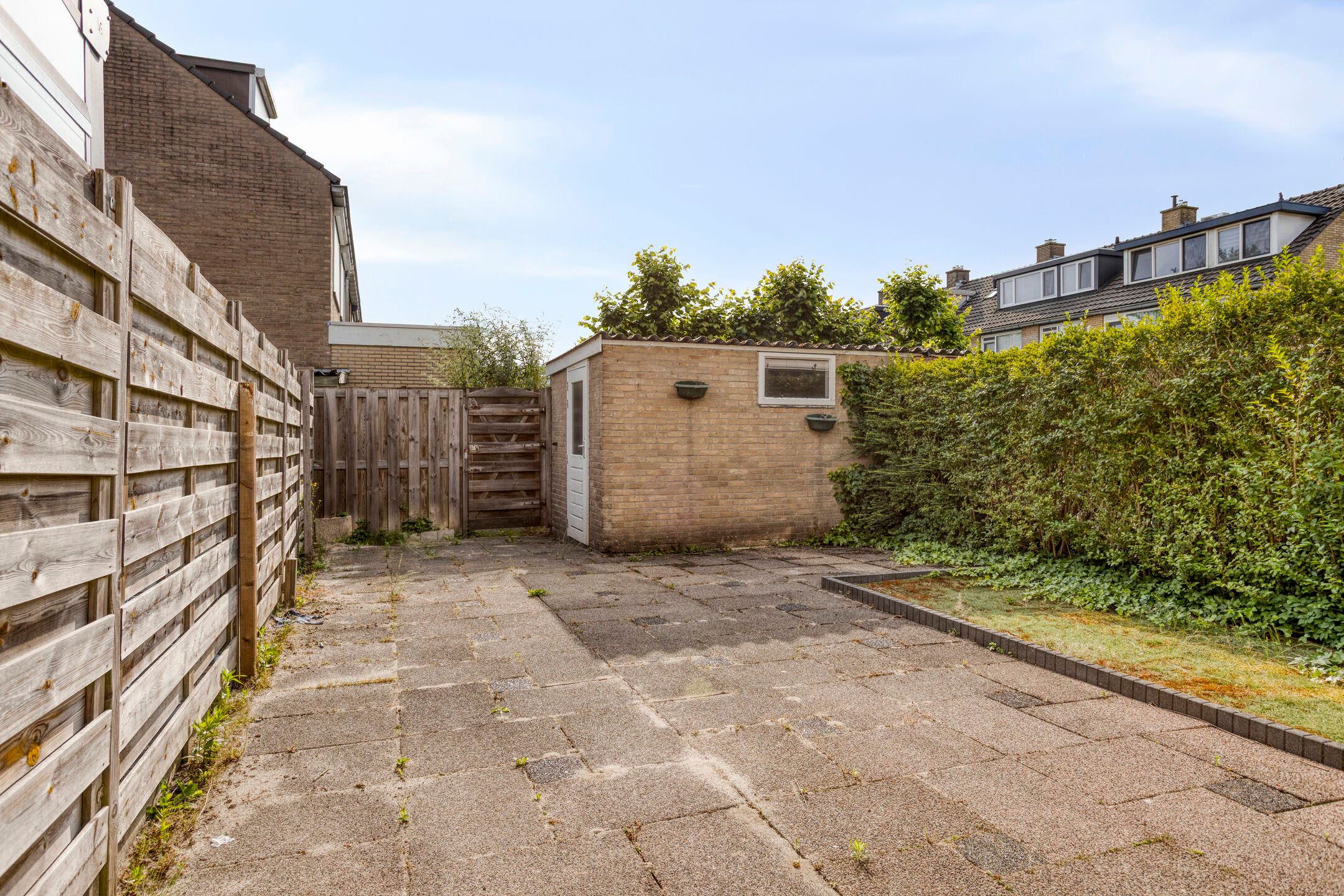 Foto 27 van Bolkruid 42