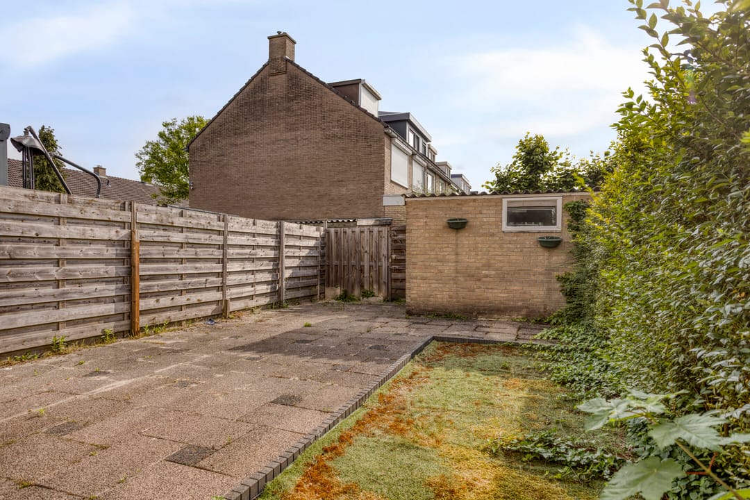 Foto 28 van Bolkruid 42