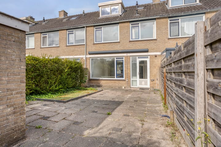 Foto 29 van Bolkruid 42