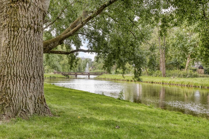 Foto 31 van Bolkruid 42