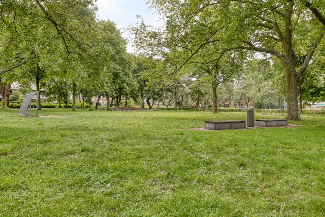 Foto 32 van Bolkruid 42