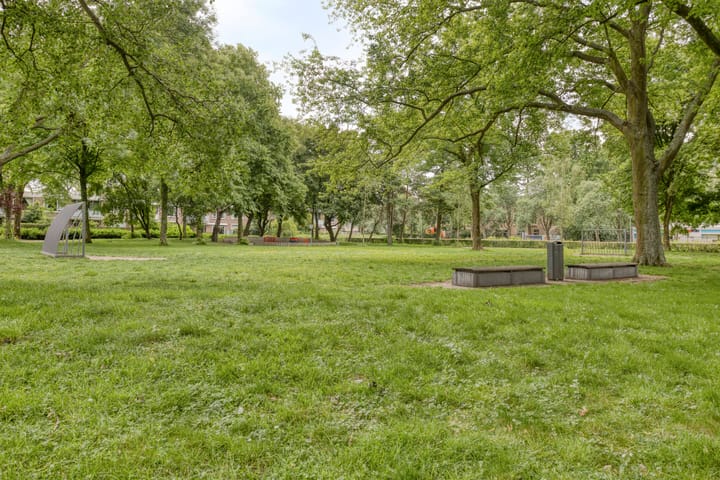 Foto 32 van Bolkruid 42