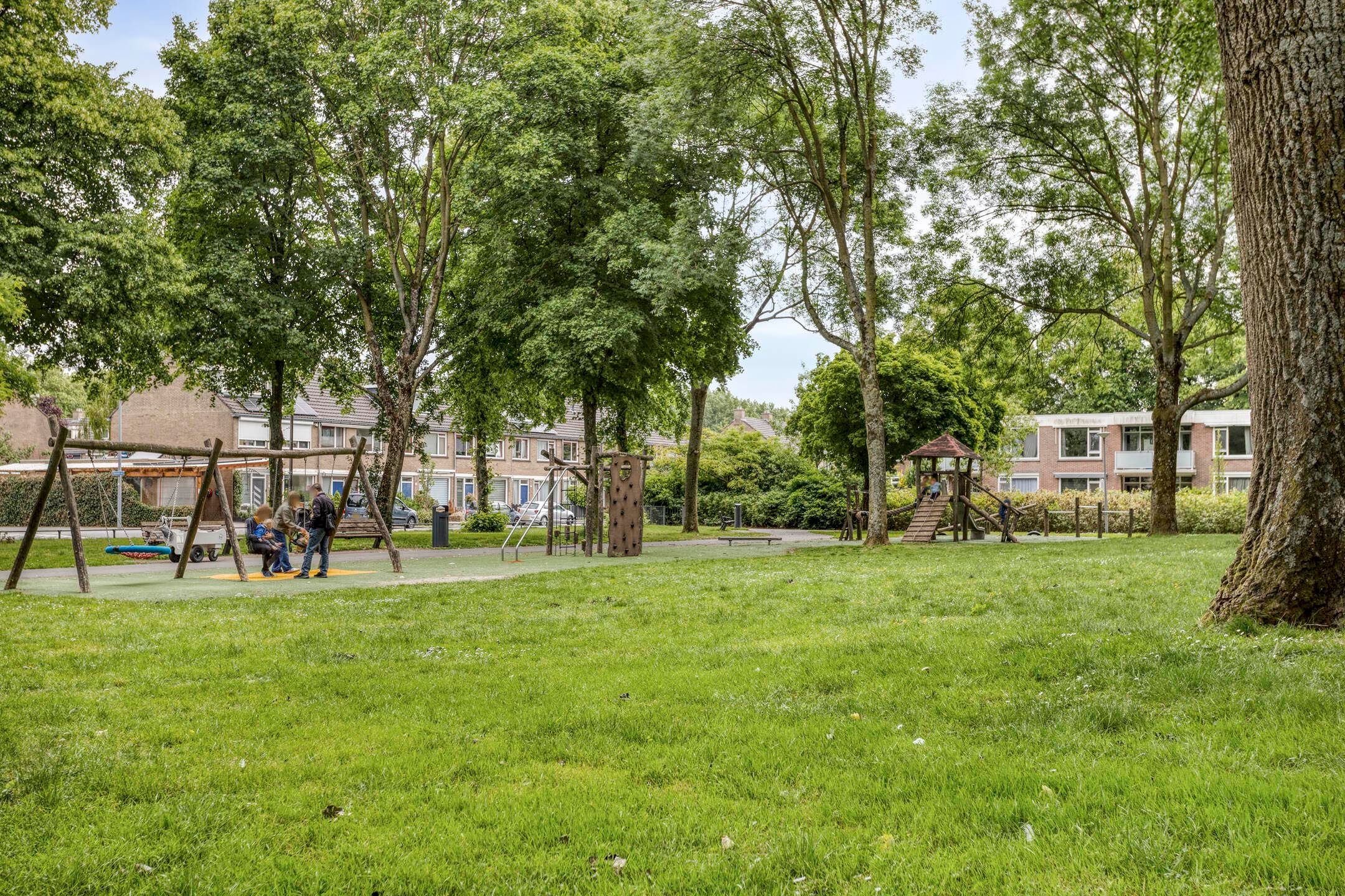 Foto 33 van Bolkruid 42