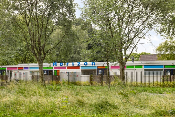 Foto 34 van Bolkruid 42