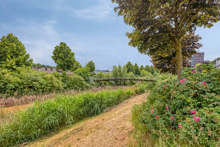 Foto 30 van Minervalaan 43