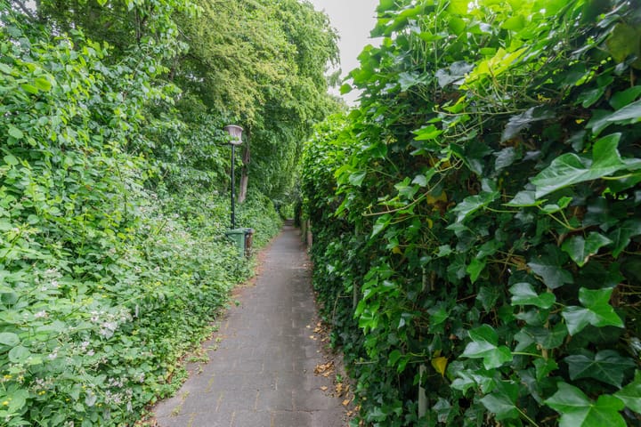 Foto 26 van Haagwinde 59