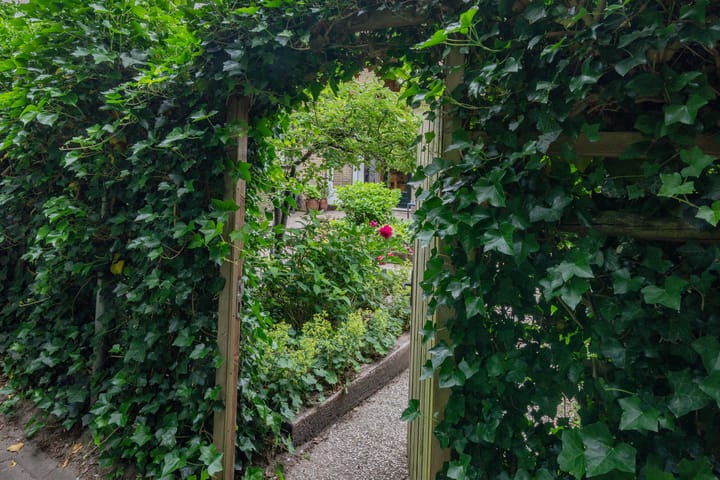 Foto 27 van Haagwinde 59