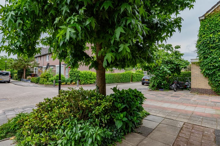 Foto 29 van Haagwinde 59