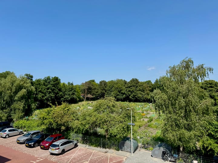 Foto 3 van Pippelingstraat 4