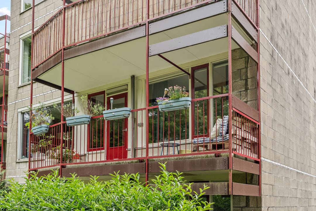 Foto 2 van Pernambucodreef 6