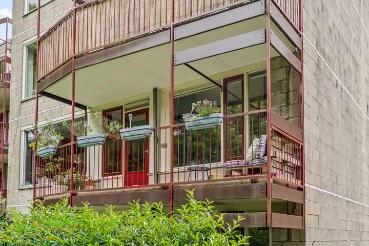 Foto 2 van Pernambucodreef 6