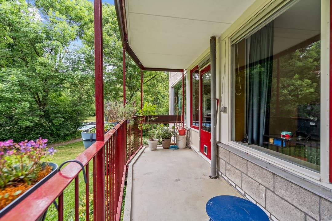 Foto 17 van Pernambucodreef 6