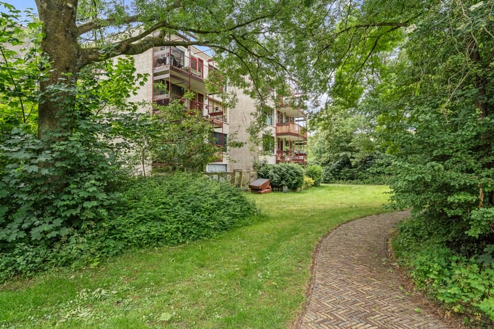 Foto 30 van Pernambucodreef 6