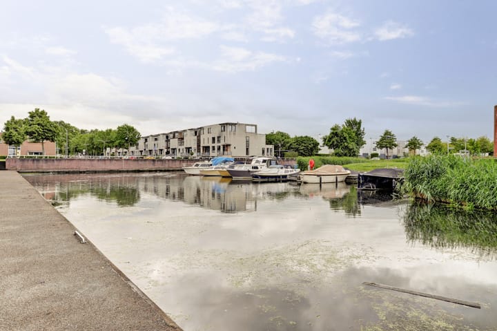 Foto 38 van Tweelingen 85