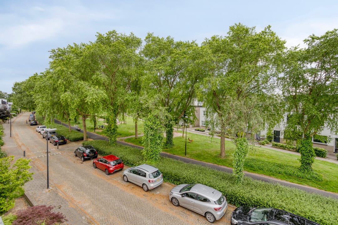 Photo 23 of Ledaplantsoen 7