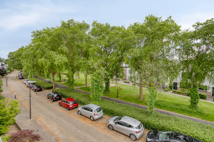 Foto 23 van Ledaplantsoen 7