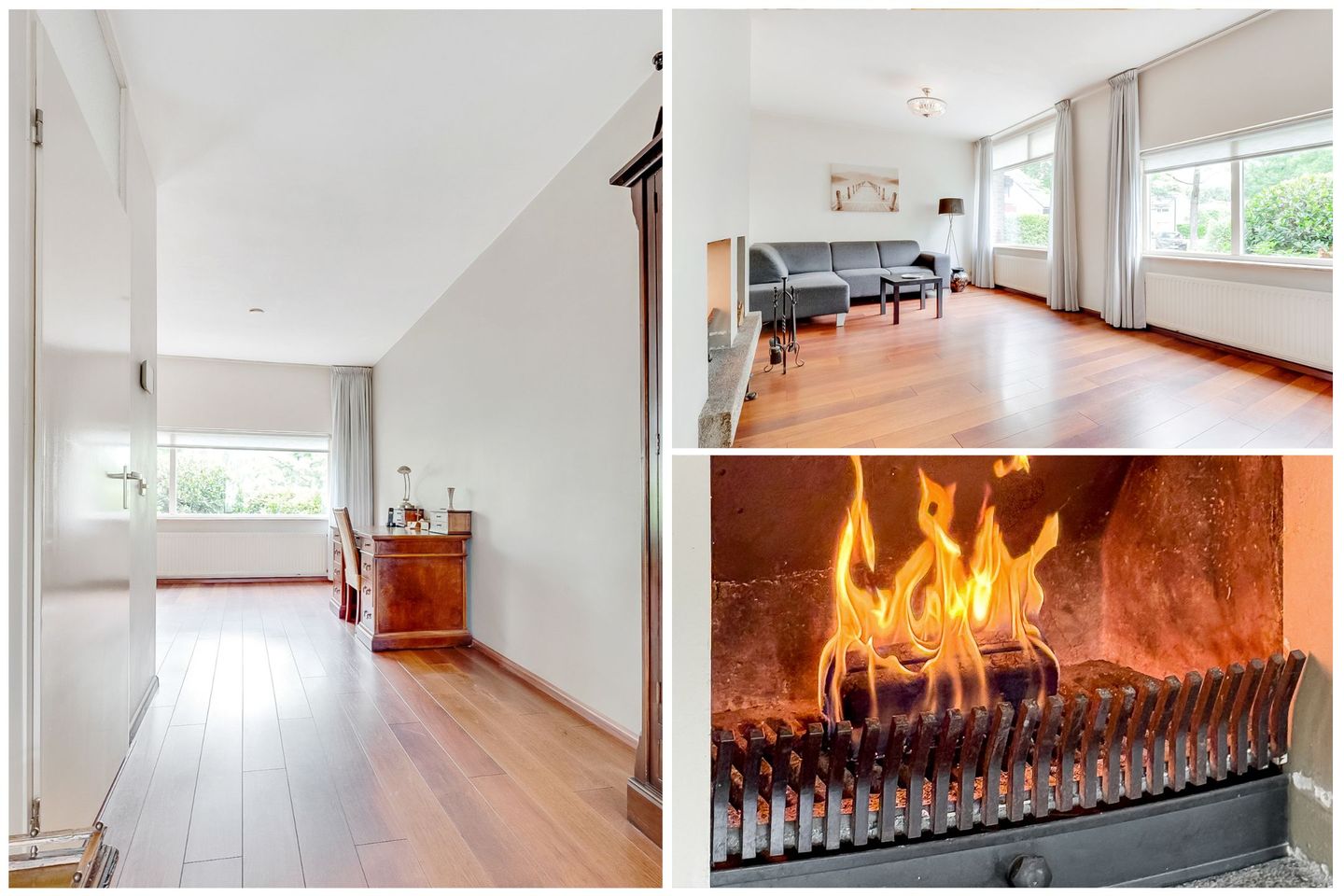 Foto 14 van de Botter 13