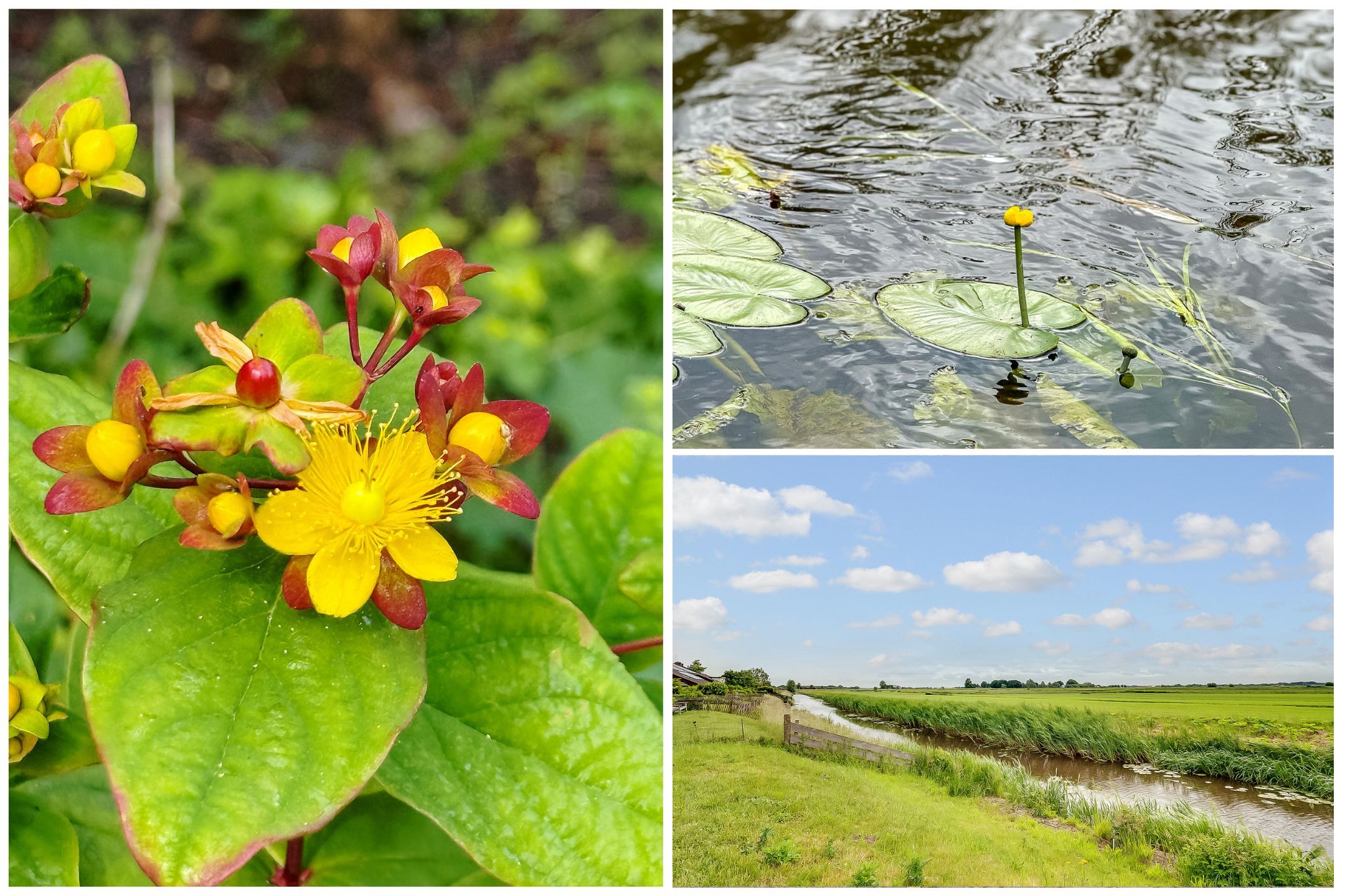 Foto 60 van de Botter 13