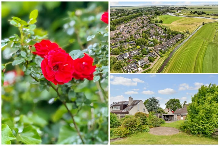 Foto 63 van de Botter 13