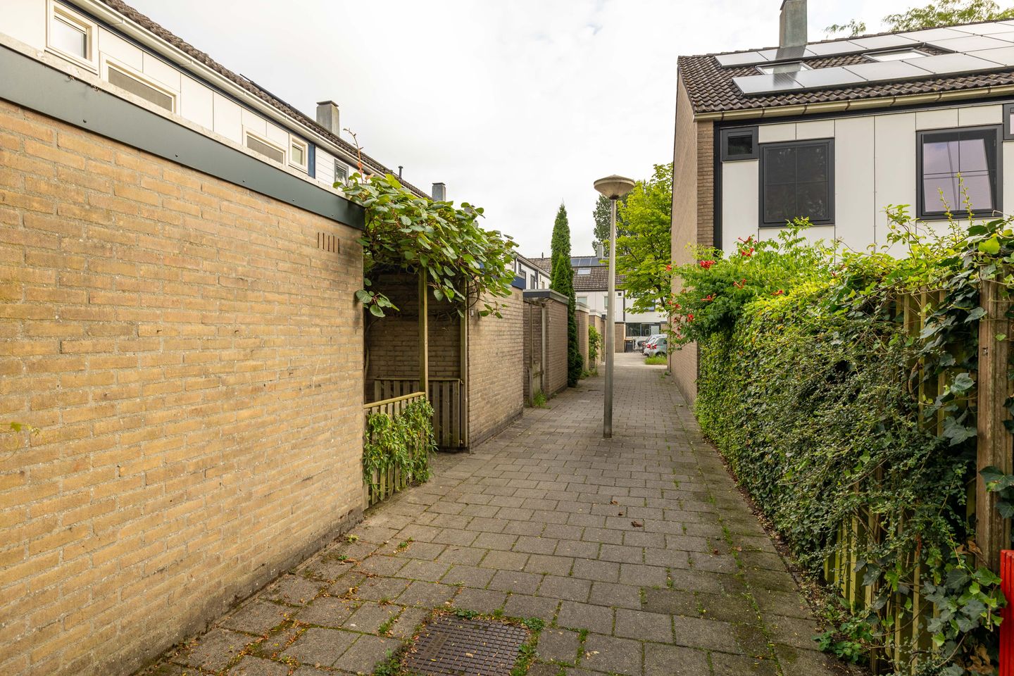 Foto 49 van Roerdomplaan 104