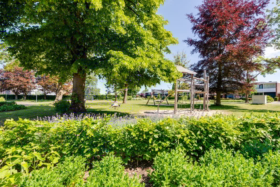 Foto 41 van Hoge Es 3