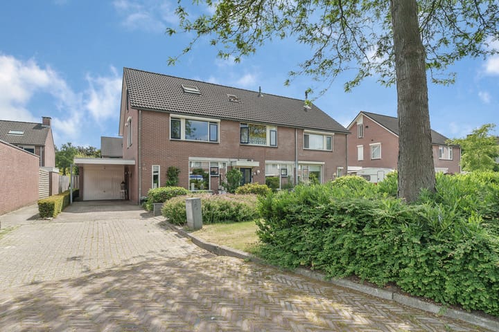 Foto 34 van Weegbree 15