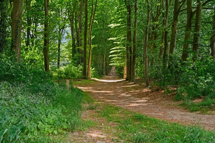 Foto 4 van Seytweg 39