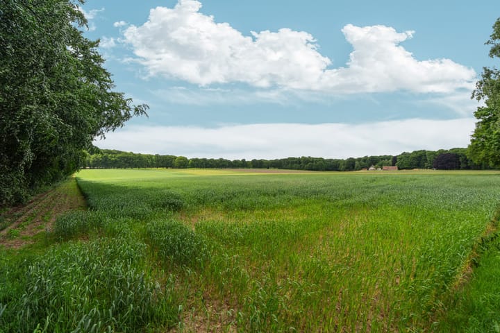 Foto 51 van Seytweg 39