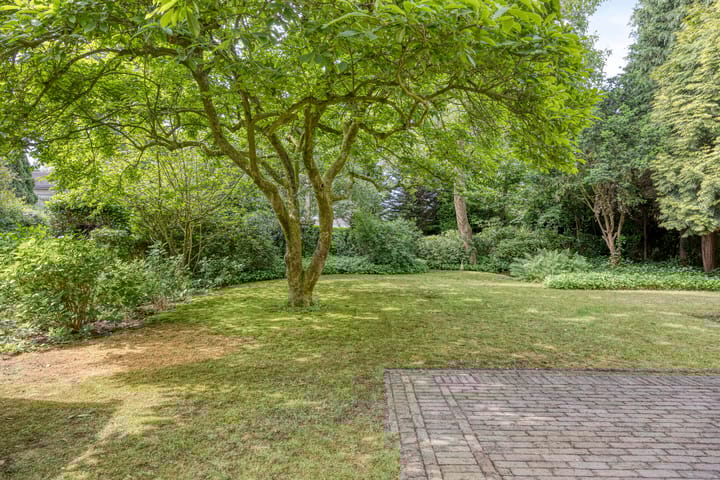 Foto 37 van Poolsterlaan 1