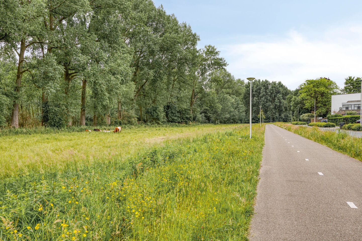 Foto 40 van Poolsterlaan 1