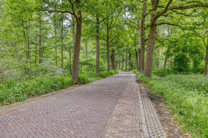 Foto 41 van Poolsterlaan 1