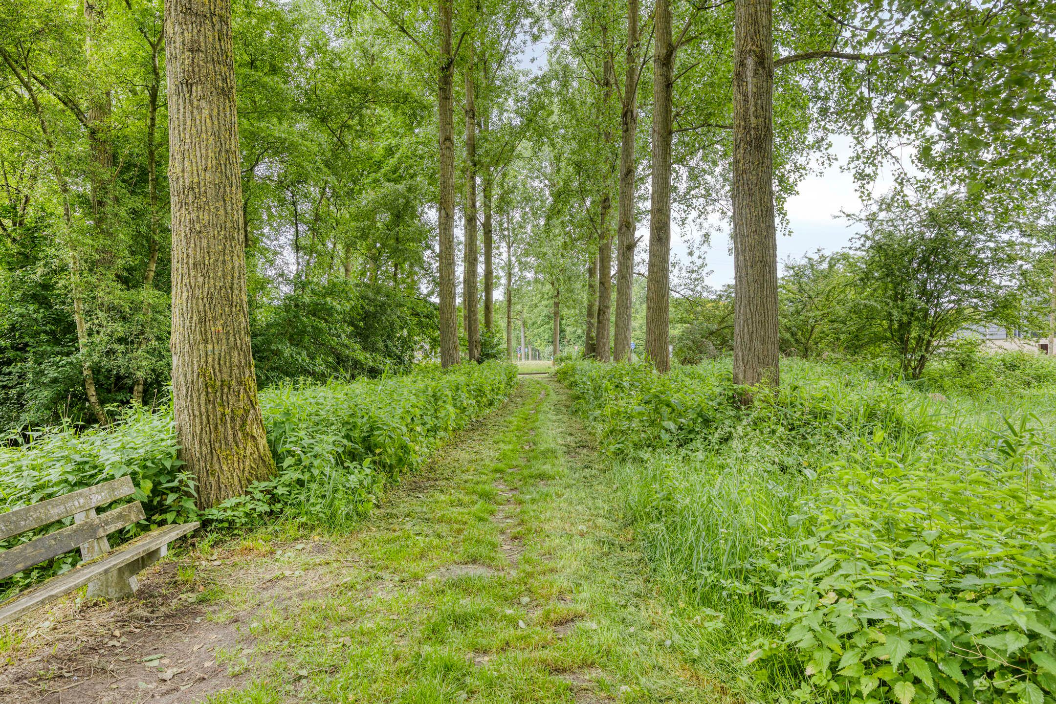 Foto 42 van Poolsterlaan 1