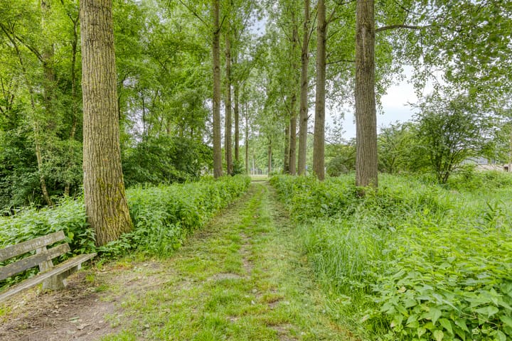 Foto 42 van Poolsterlaan 1