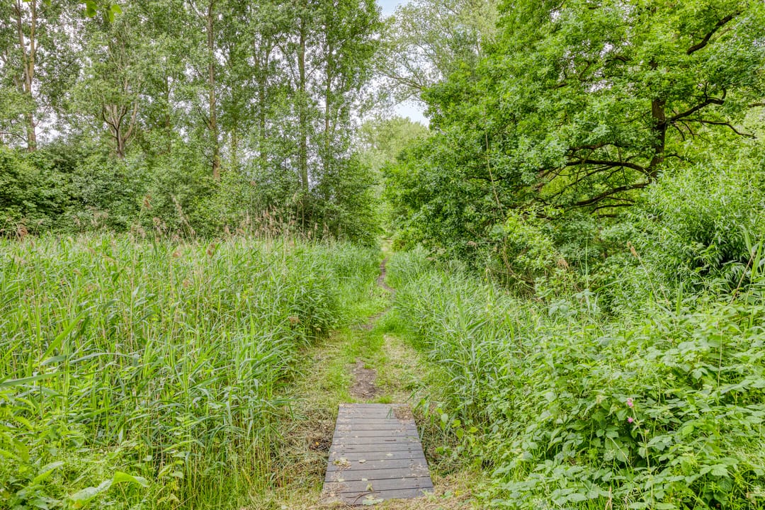 Foto 43 van Poolsterlaan 1