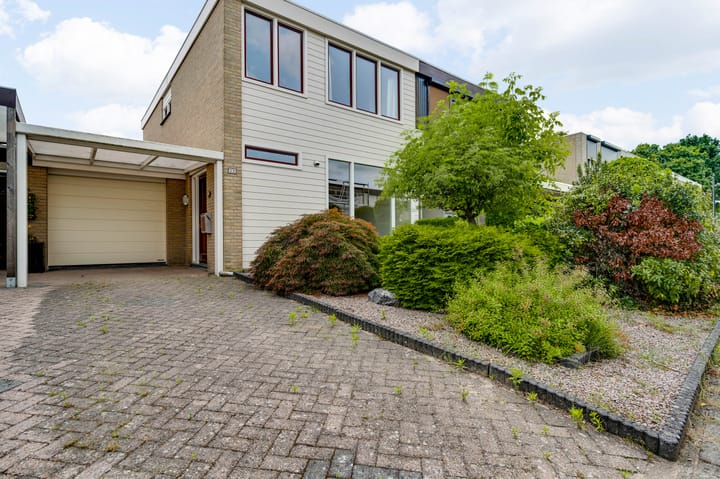 Foto 2 van Pieter Bothstraat 20