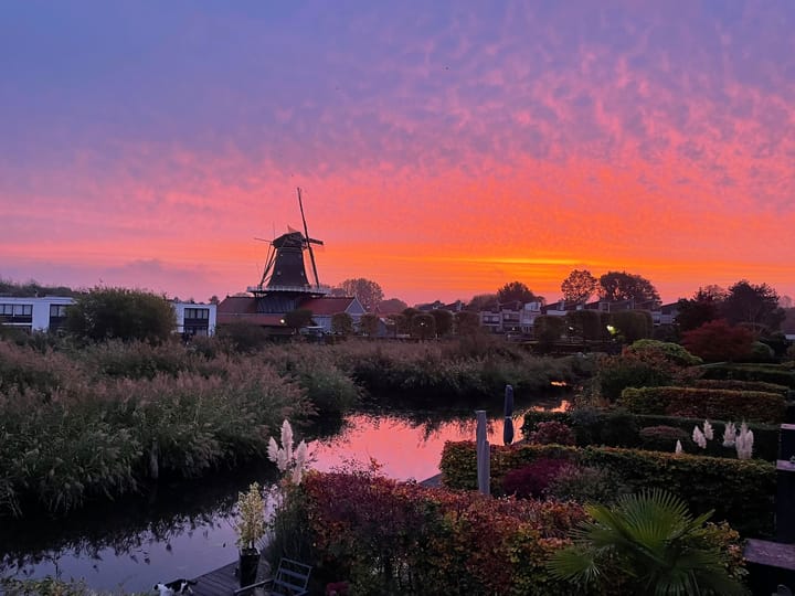 Foto 50 van Schoorlaan 33